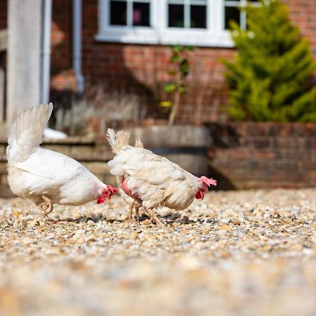 Langford Farmhouse - New Forest National Park Luxury 4Bd, Hot Tub, Cinema, 10 Acres Bartley Exterior foto