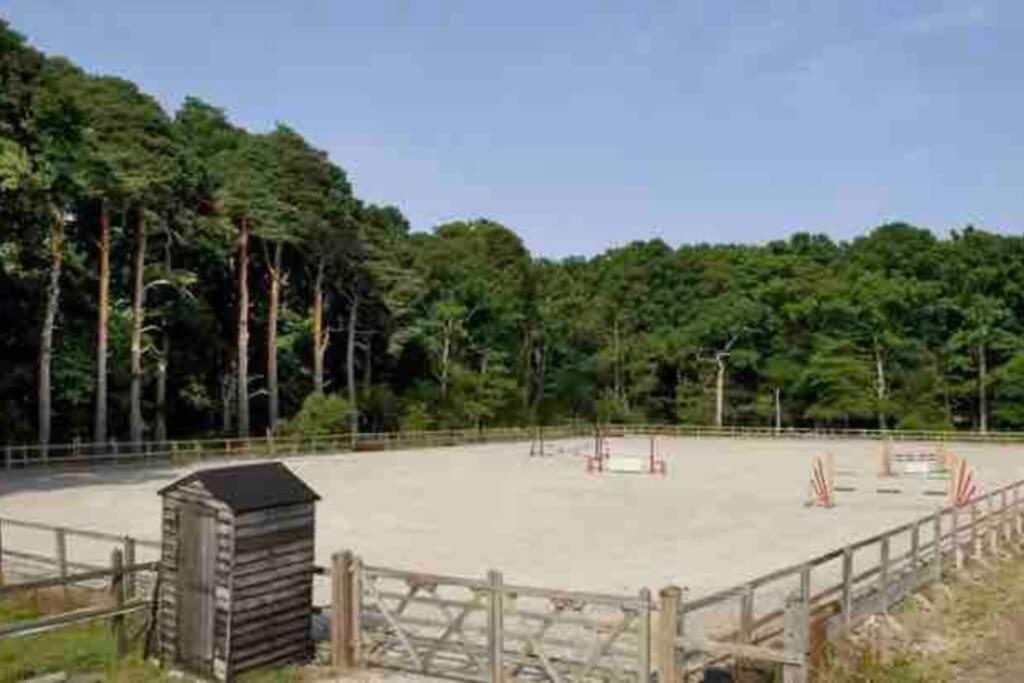 Langford Farmhouse - New Forest National Park Luxury 4Bd, Hot Tub, Cinema, 10 Acres Bartley Exterior foto