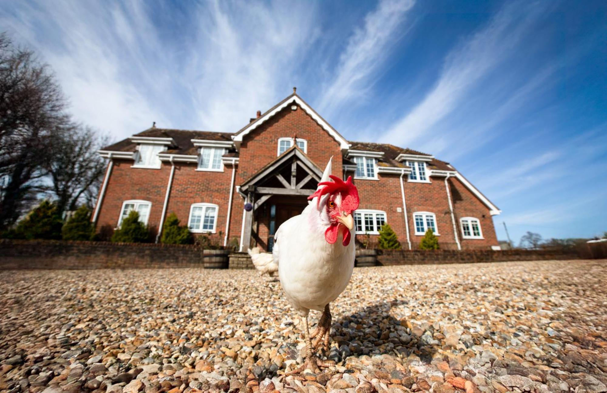 Langford Farmhouse - New Forest National Park Luxury 4Bd, Hot Tub, Cinema, 10 Acres Bartley Exterior foto